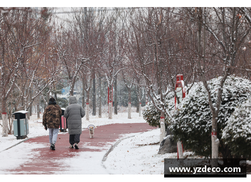 2024年的第1场雪感悟？(2008年到2024年雪文案？)